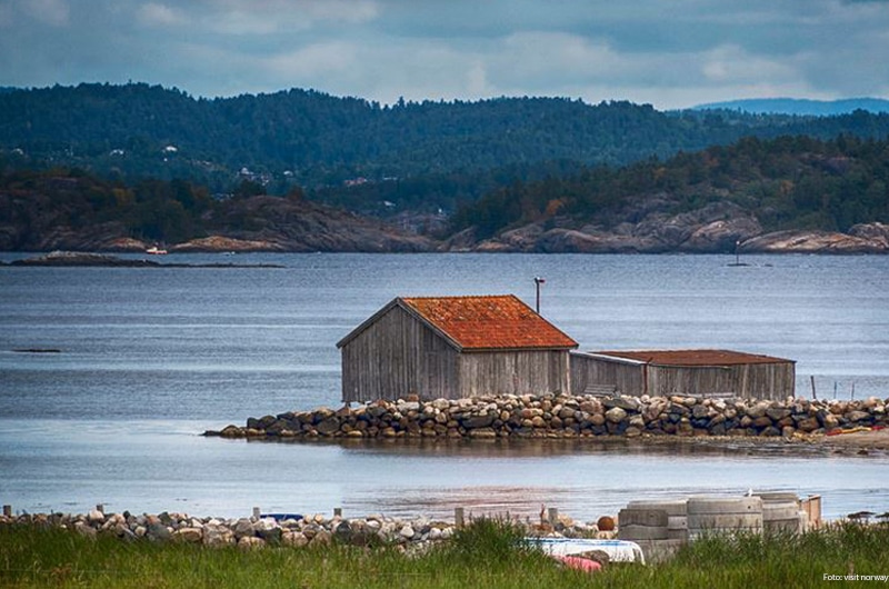 The Best Spots For Bird Watching In Norway